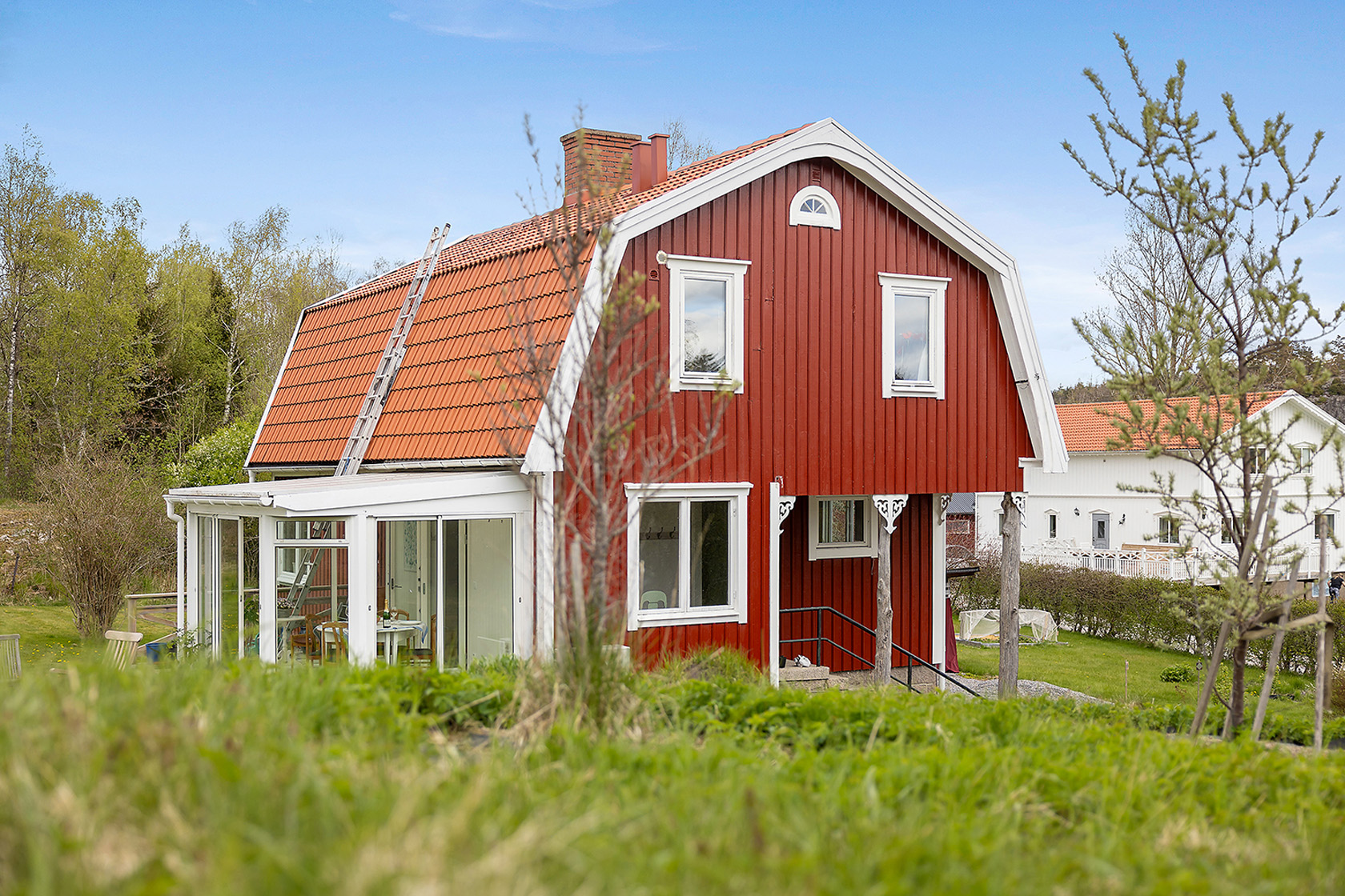 Kalvskinn Lyckeberg – bild 7