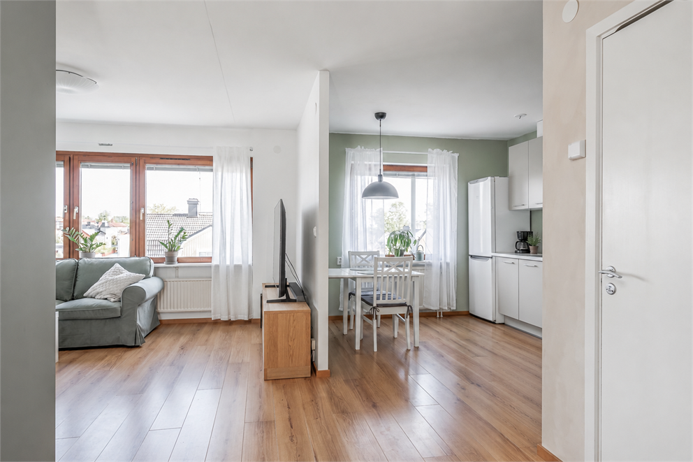 Fridsborgsgatan 19
