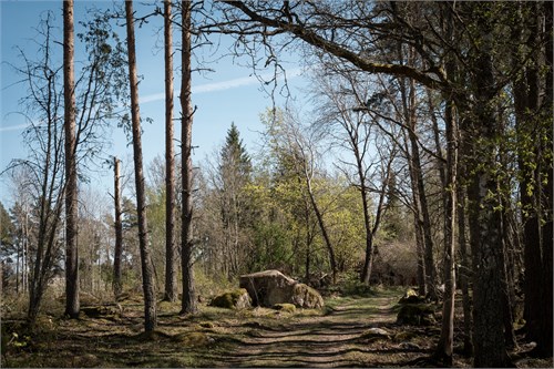 TIDÖ 1:409