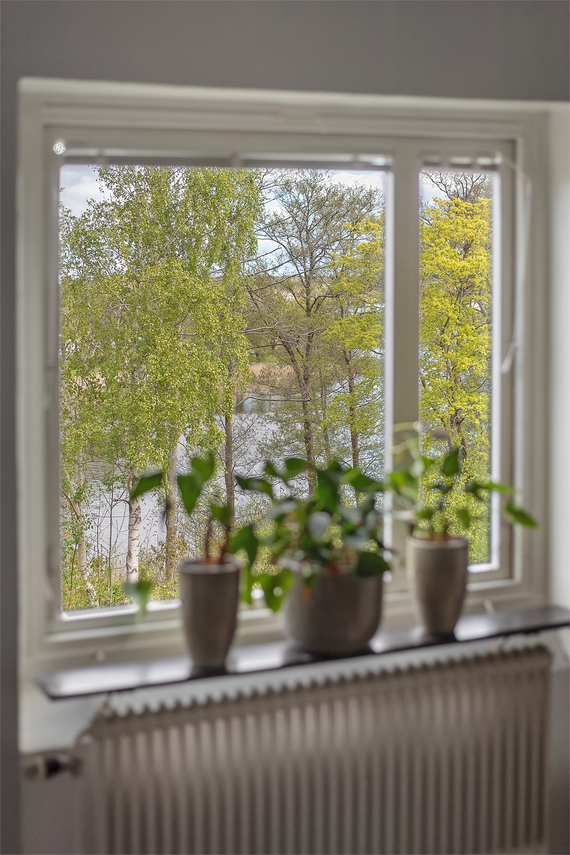 Norra Kyrkogatan 15C – bild 18