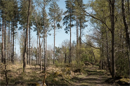 TIDÖ 1:408