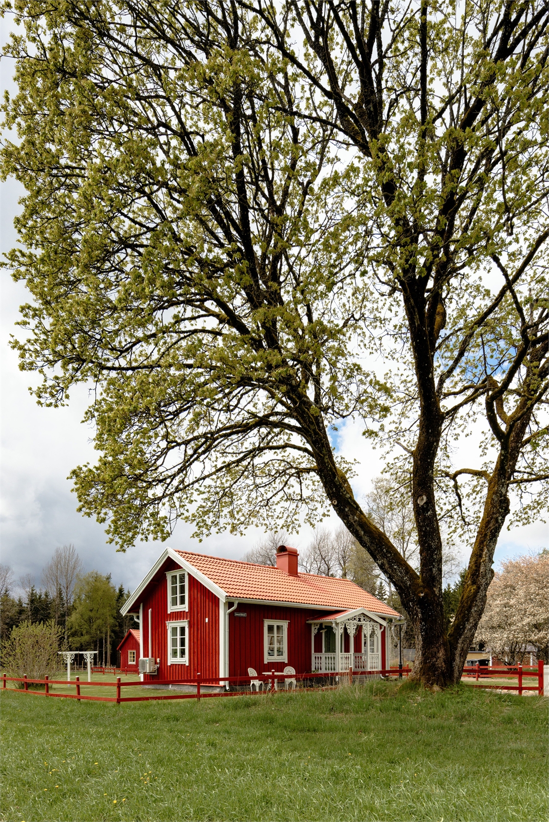 Linneryd Slätteryd 1 – bild 8