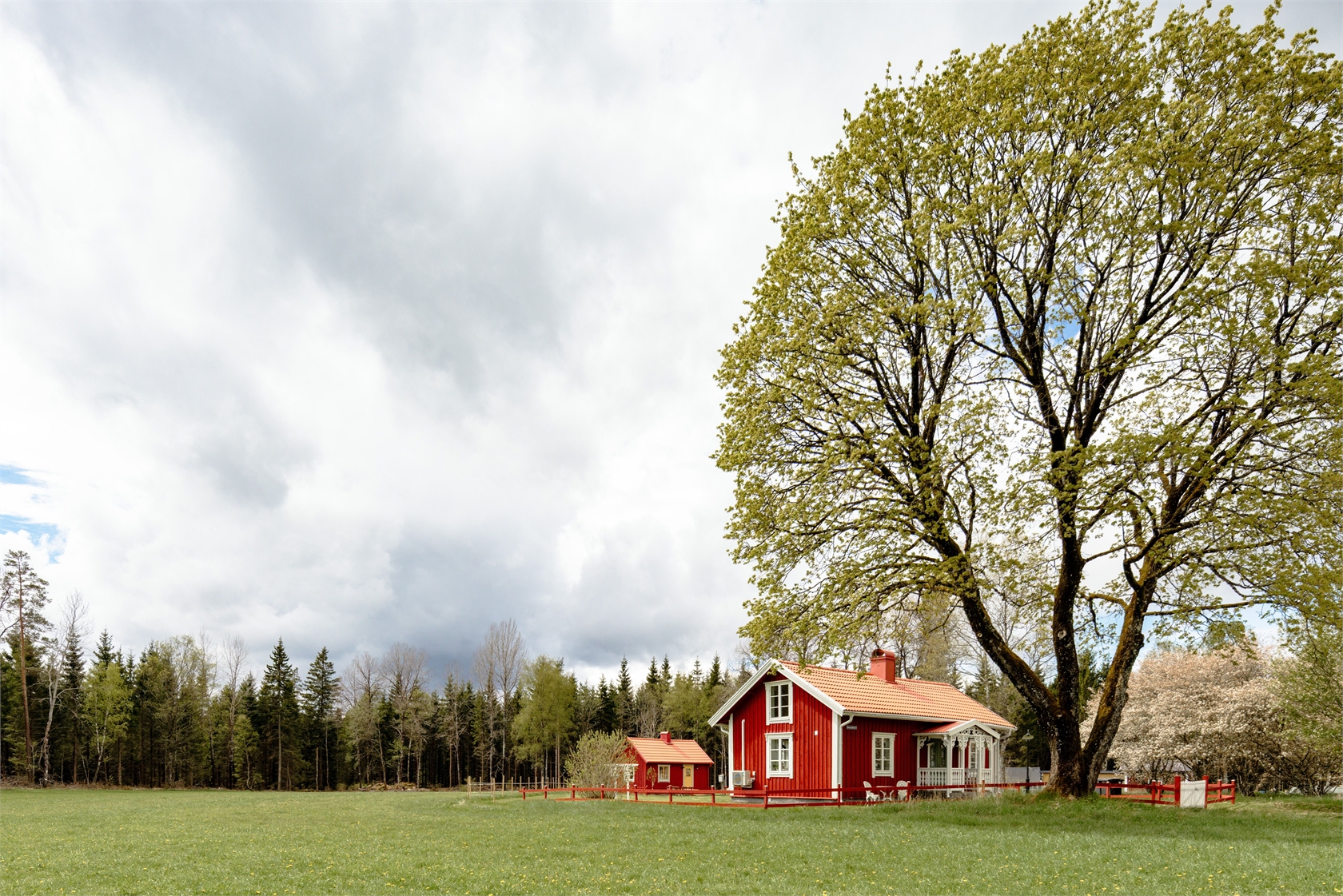 Linneryd Slätteryd 1 – bild 9
