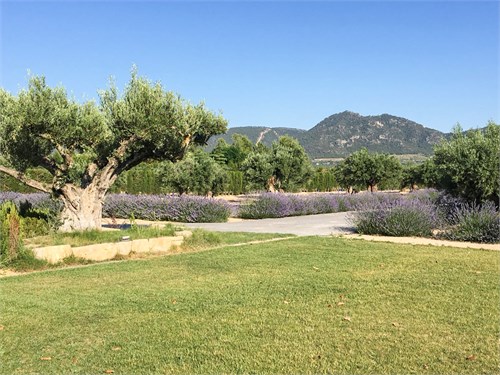 Inland | Alicante