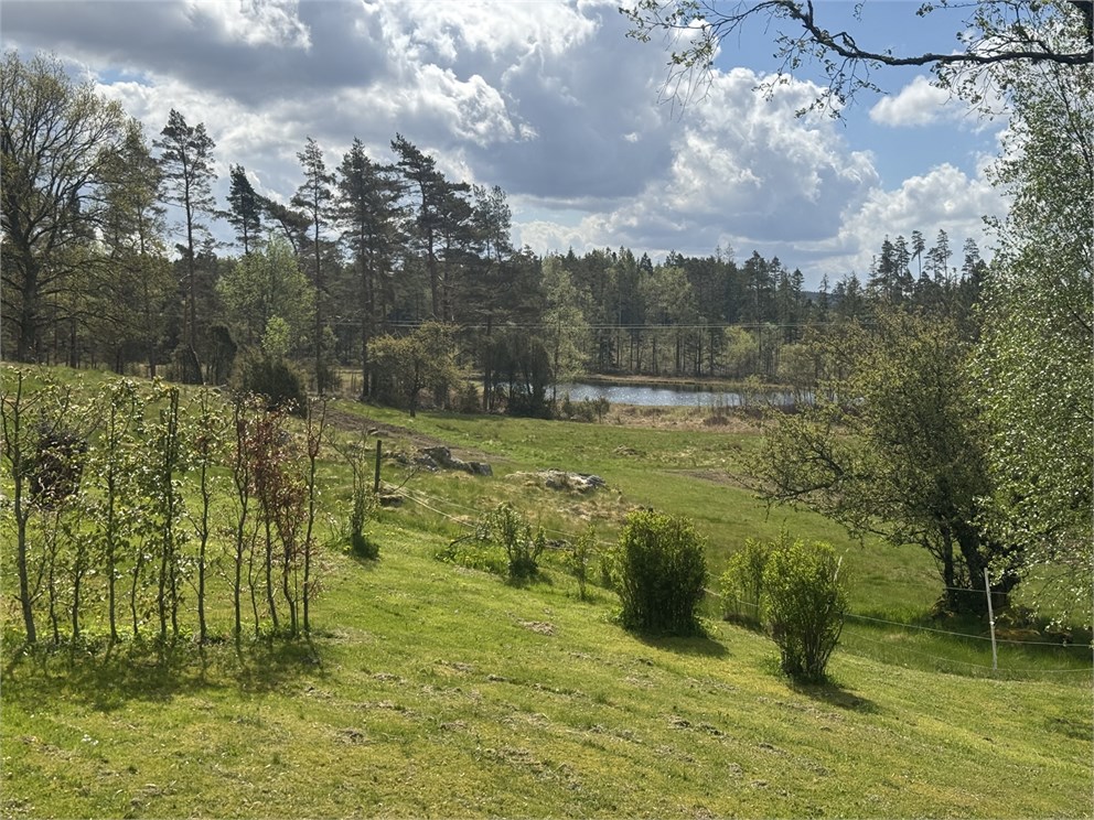 Gunnarsjö by 3