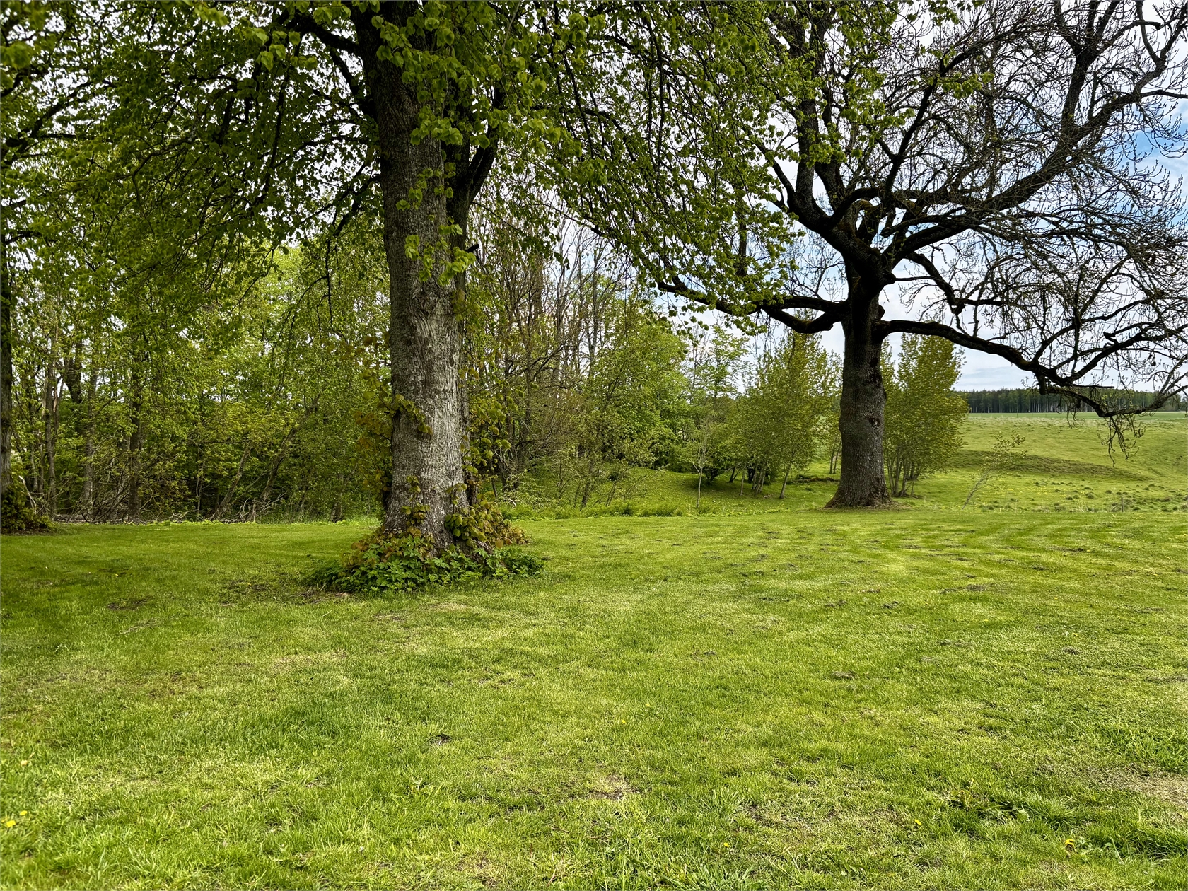 Järpås Höra Stommen 1 – bild 7
