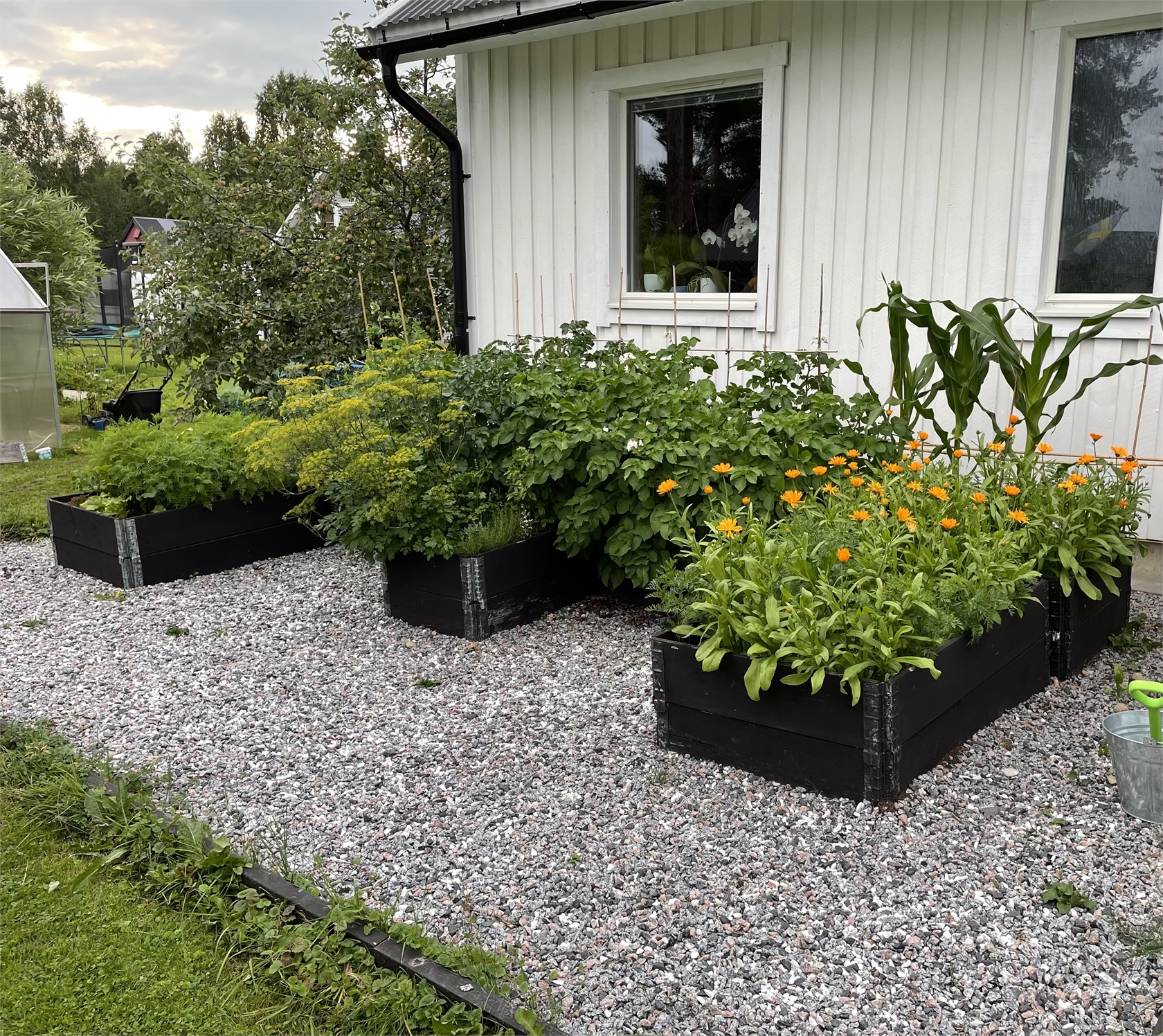 Timjanvägen 6 – bild 36