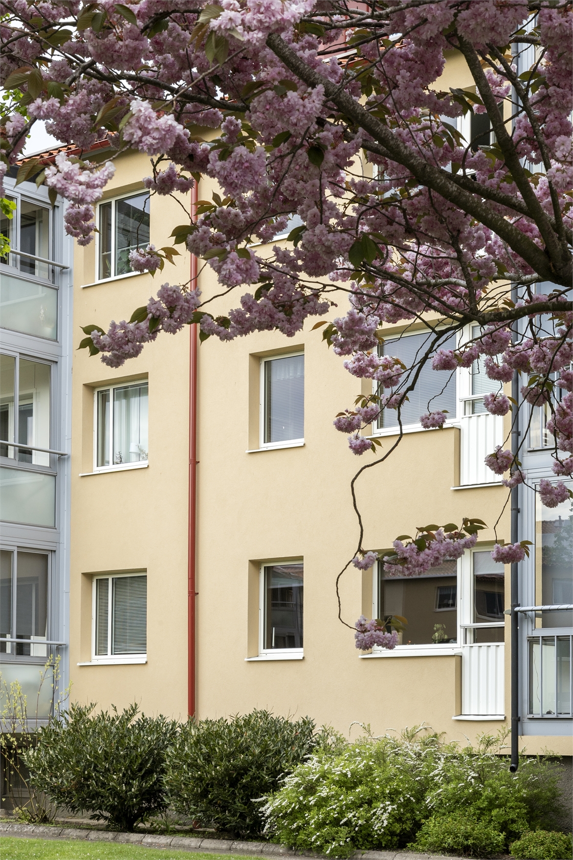 Hertings Allé 11B – bild 13