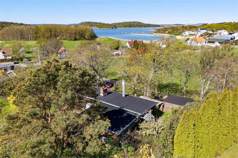 Krokens väg 6