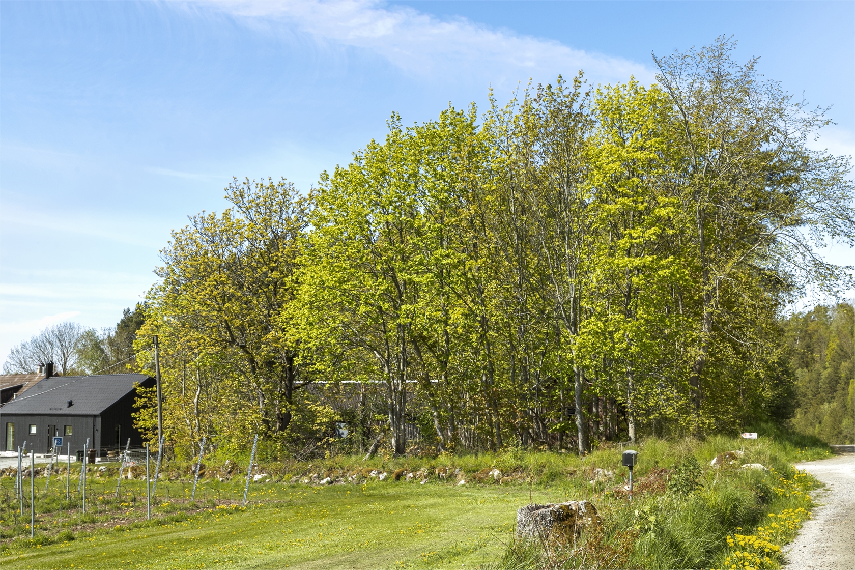 Tomvägen 131