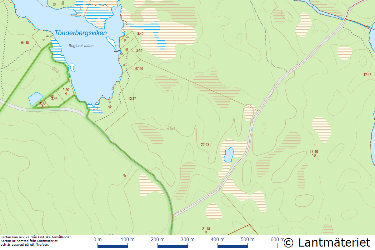 Skog vid Hulen – bild 13