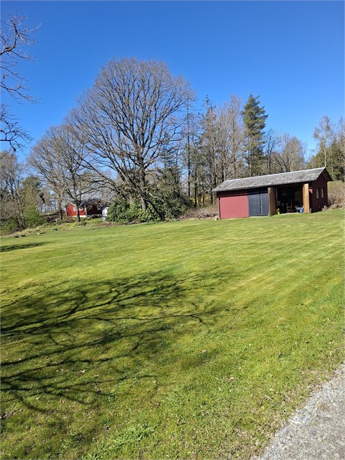 Säljarens sommarbild