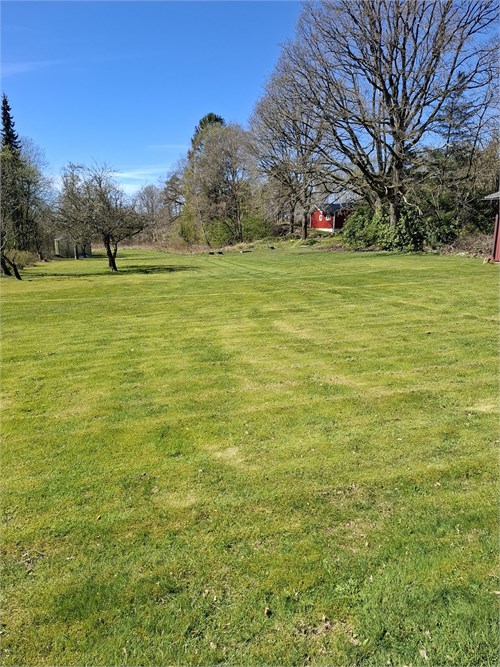 Säljarens sommarbild