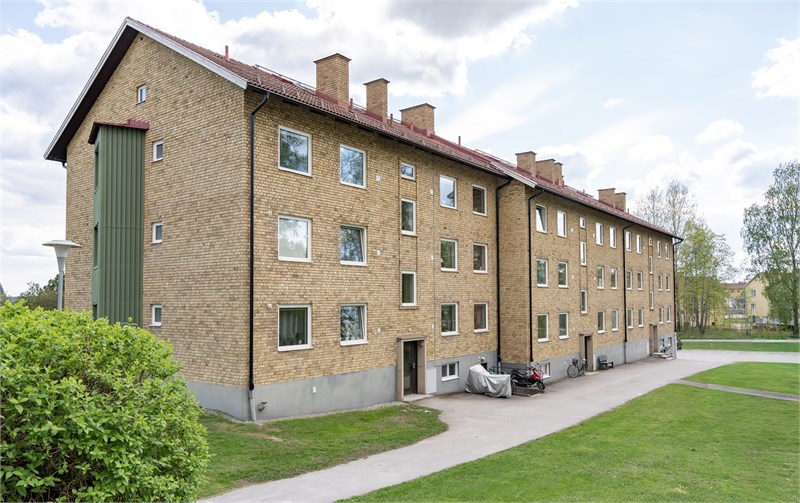 Exteriör