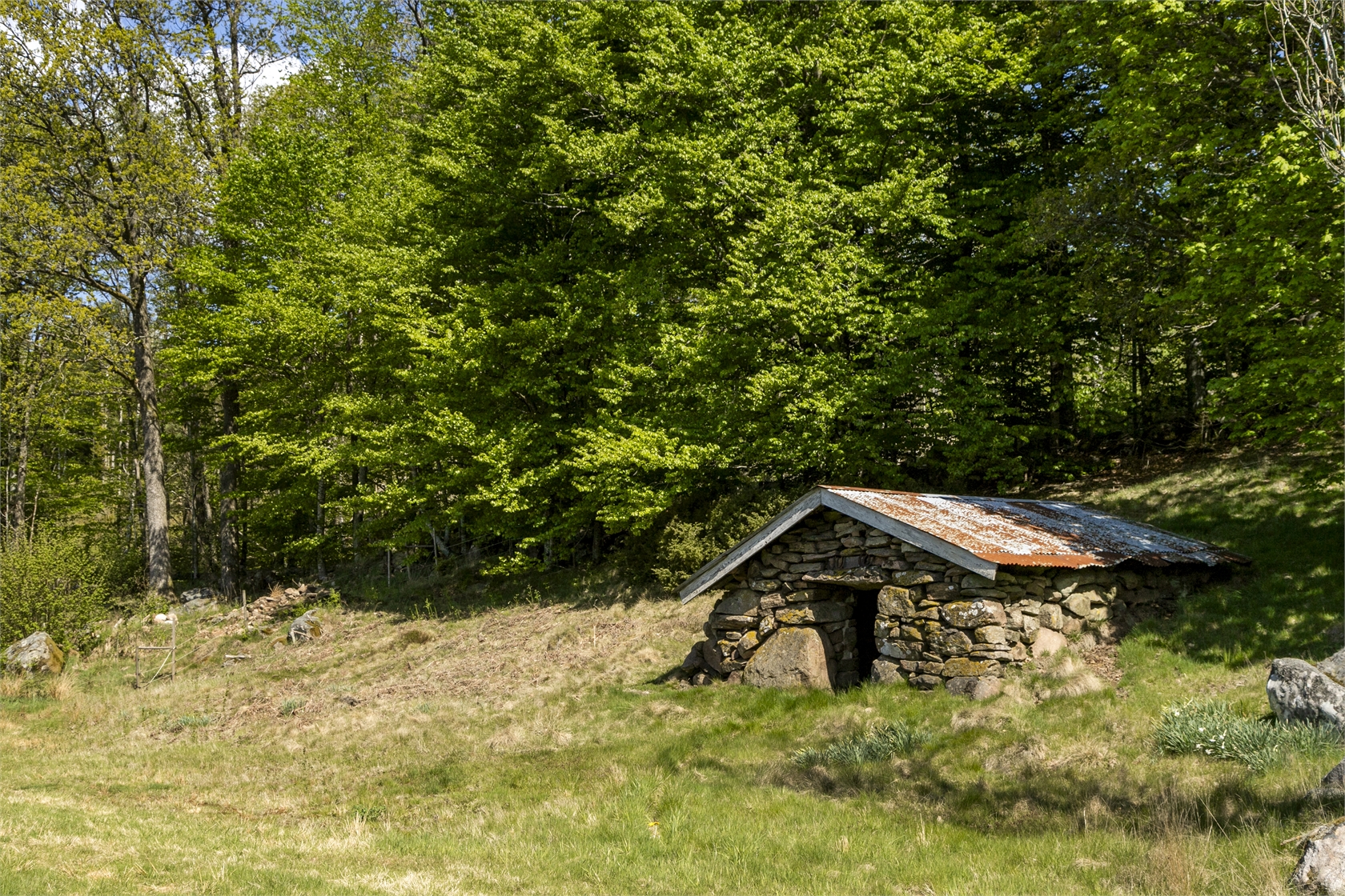 Stenaljung 1, Johans – bild 28