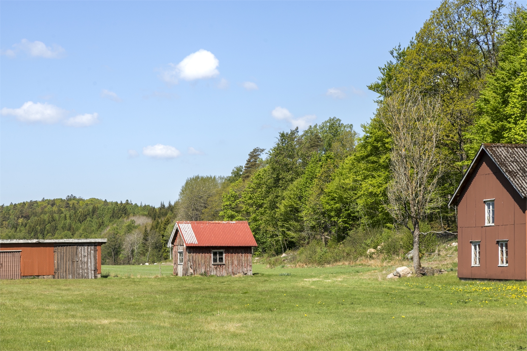 Stenaljung 1, Johans – bild 26
