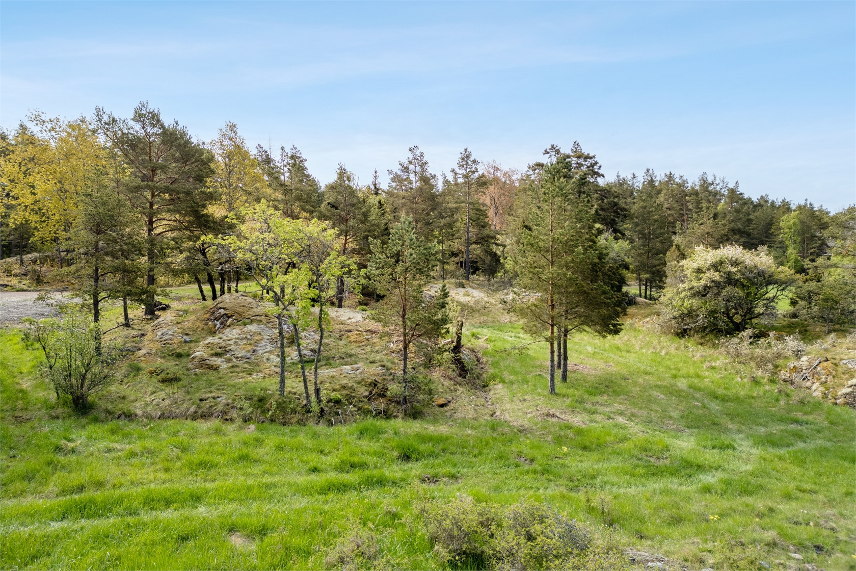 Römora Ängar 1 – bild 4