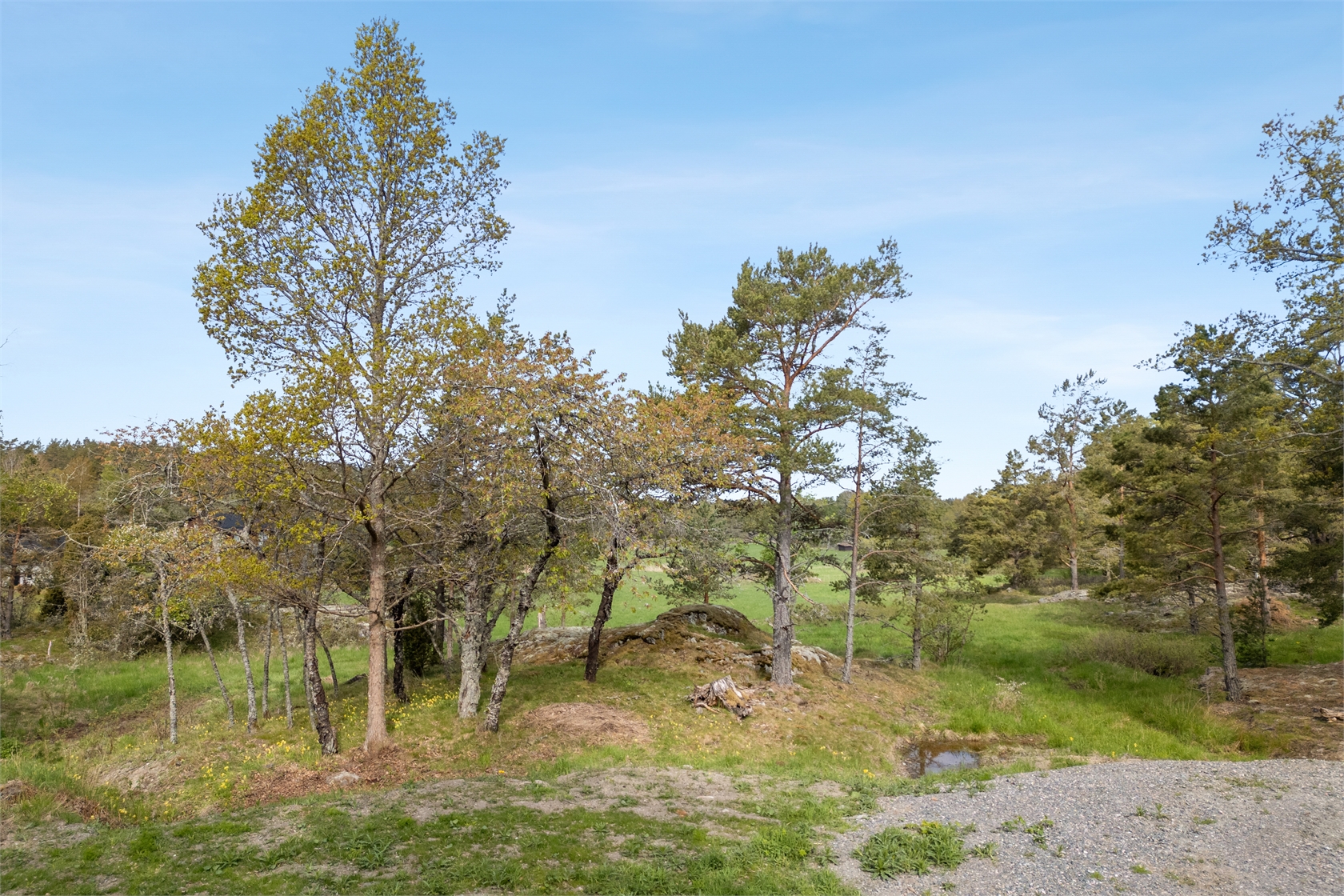 Römora Ängar 1 – bild 11