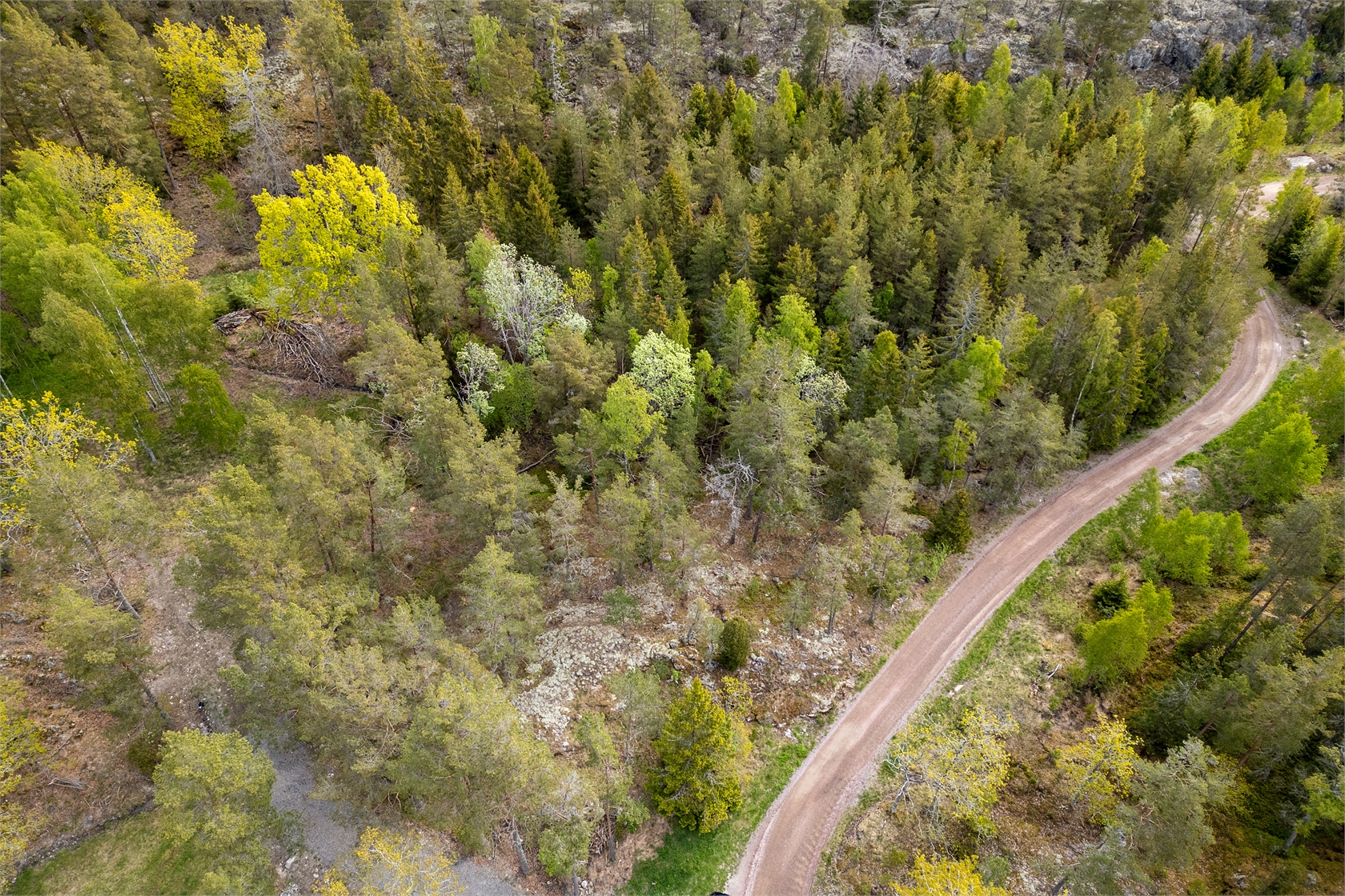 Römora Ängar 1 – bild 17