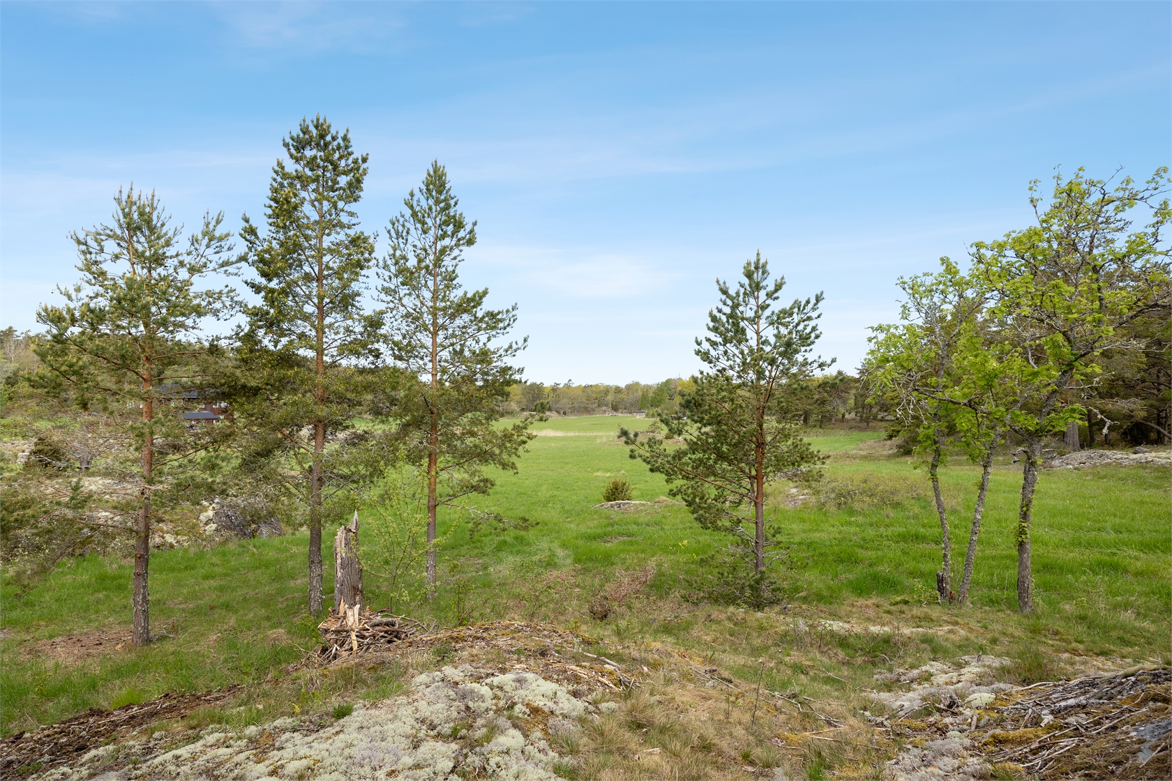 Römora Ängar 1 – bild 10