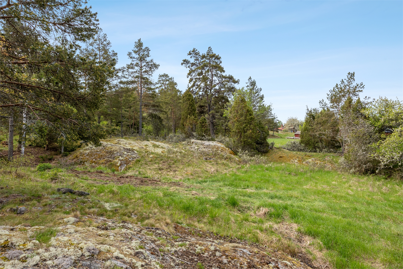 Römora Ängar 1 – bild 9