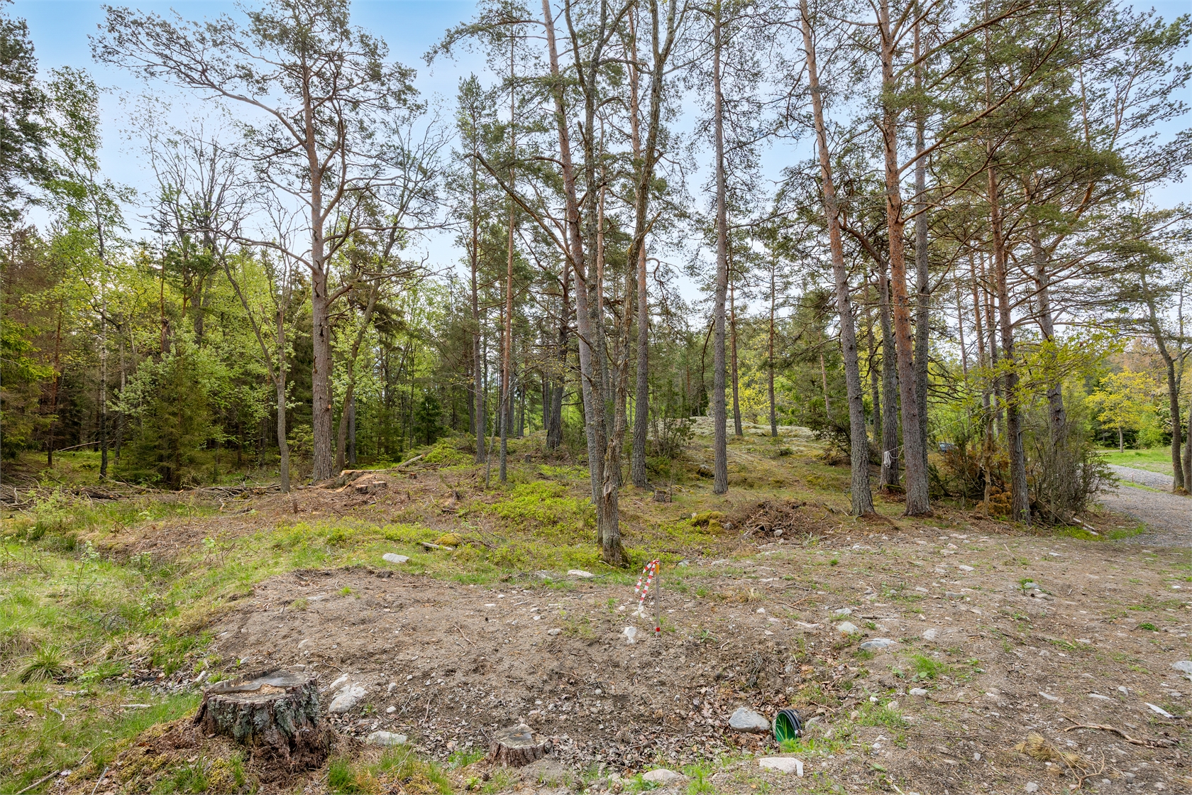 Römora Ängar 1 – bild 19