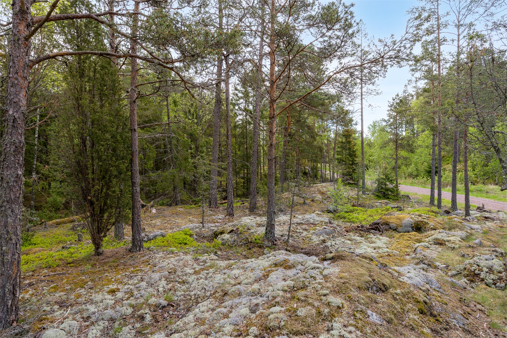 Römora Ängar 1 – bild 20