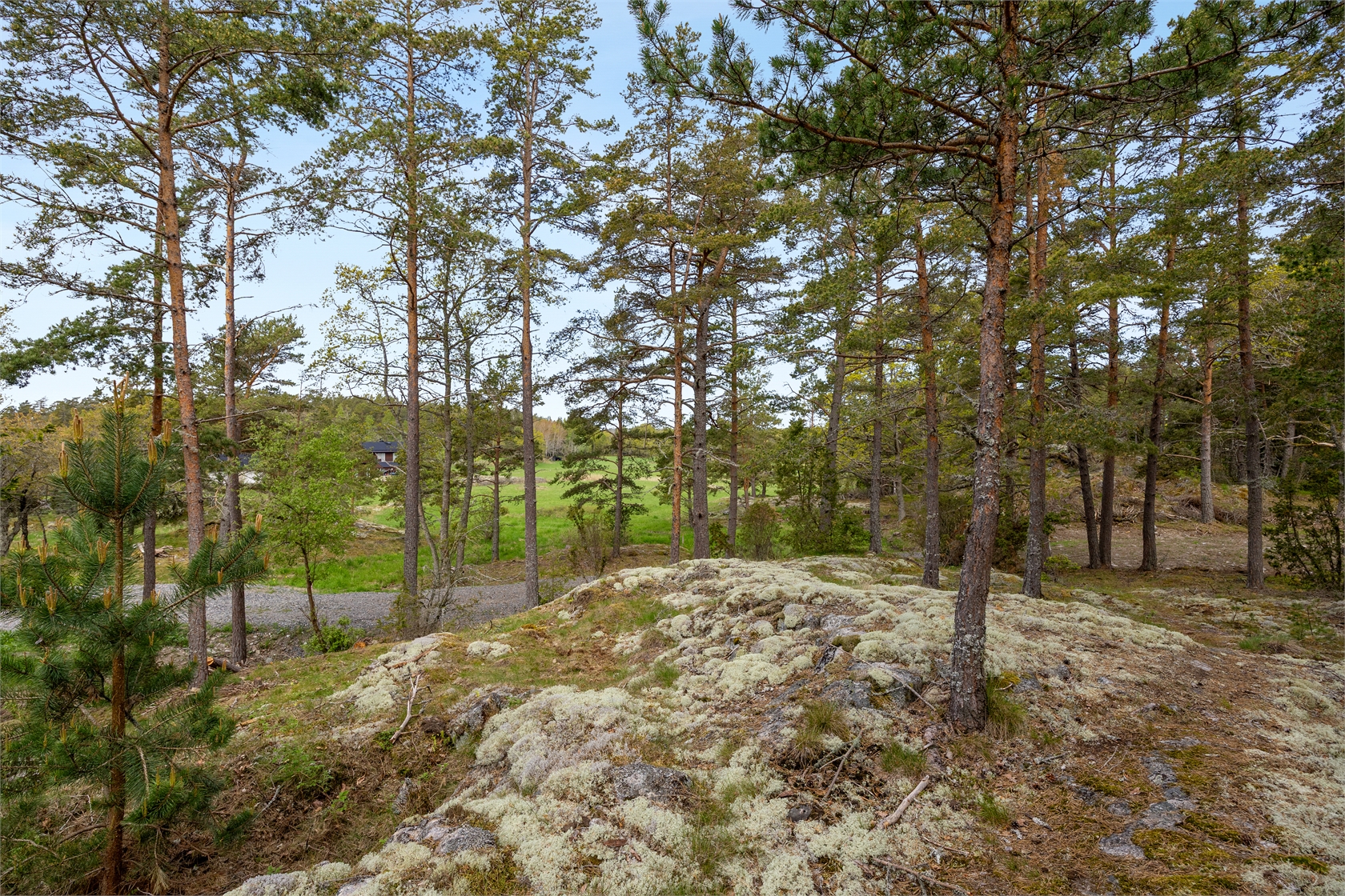 Römora Ängar 1 – bild 21