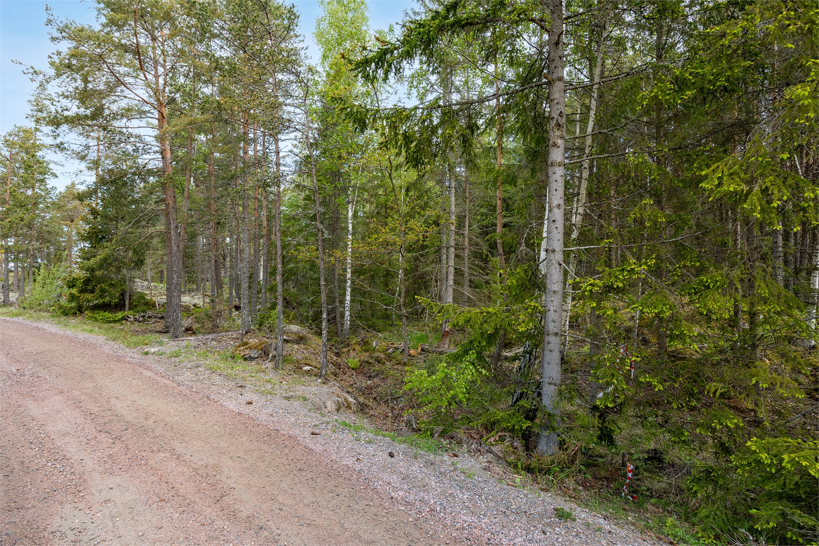 Römora Ängar 1 – bild 18