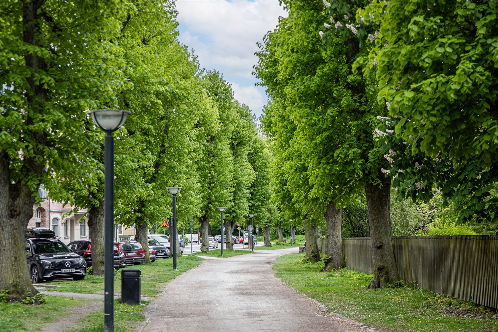 Gyllenkroks Allé 3 – bild 26