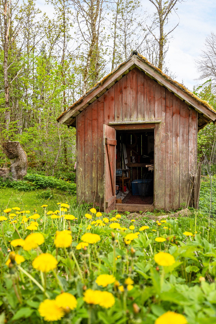 Döve Kvarnagärdet – bild 42
