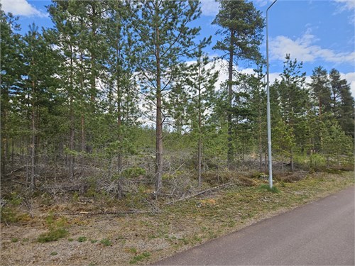 Furudal Skogsstigen 9