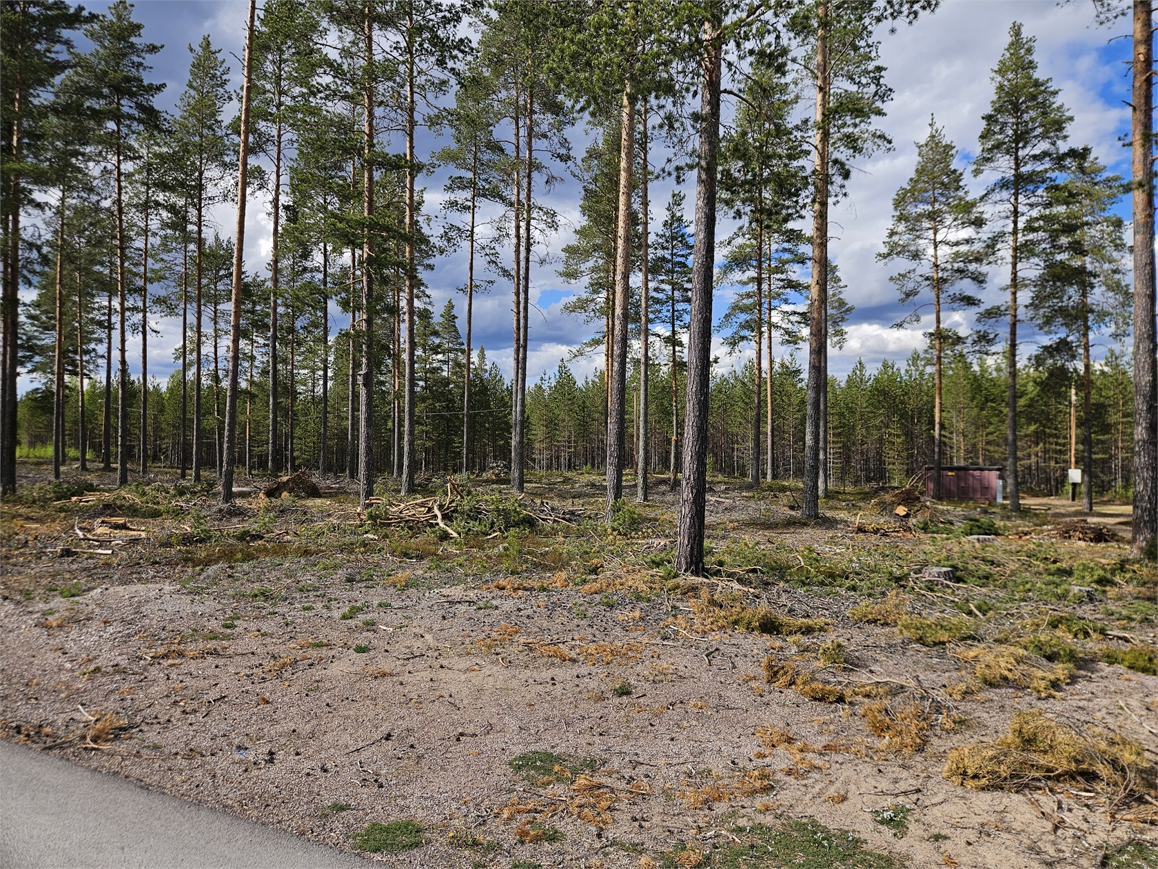 Furudal Tillhedsvägen 9