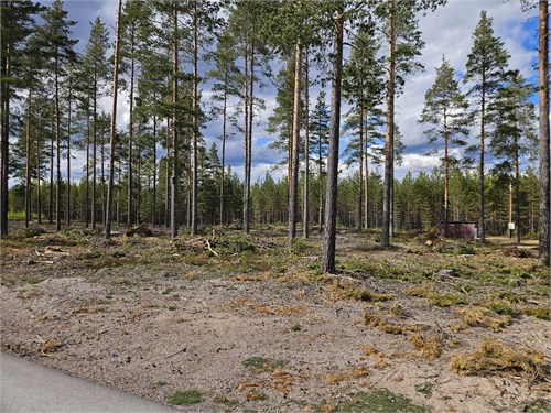 Furudal Tillhedsvägen 9