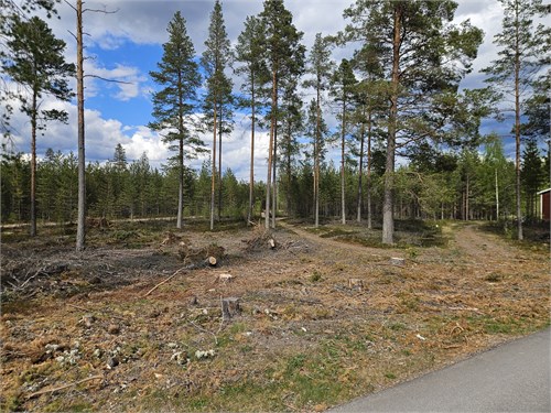Furudal Tillhedsvägen 13