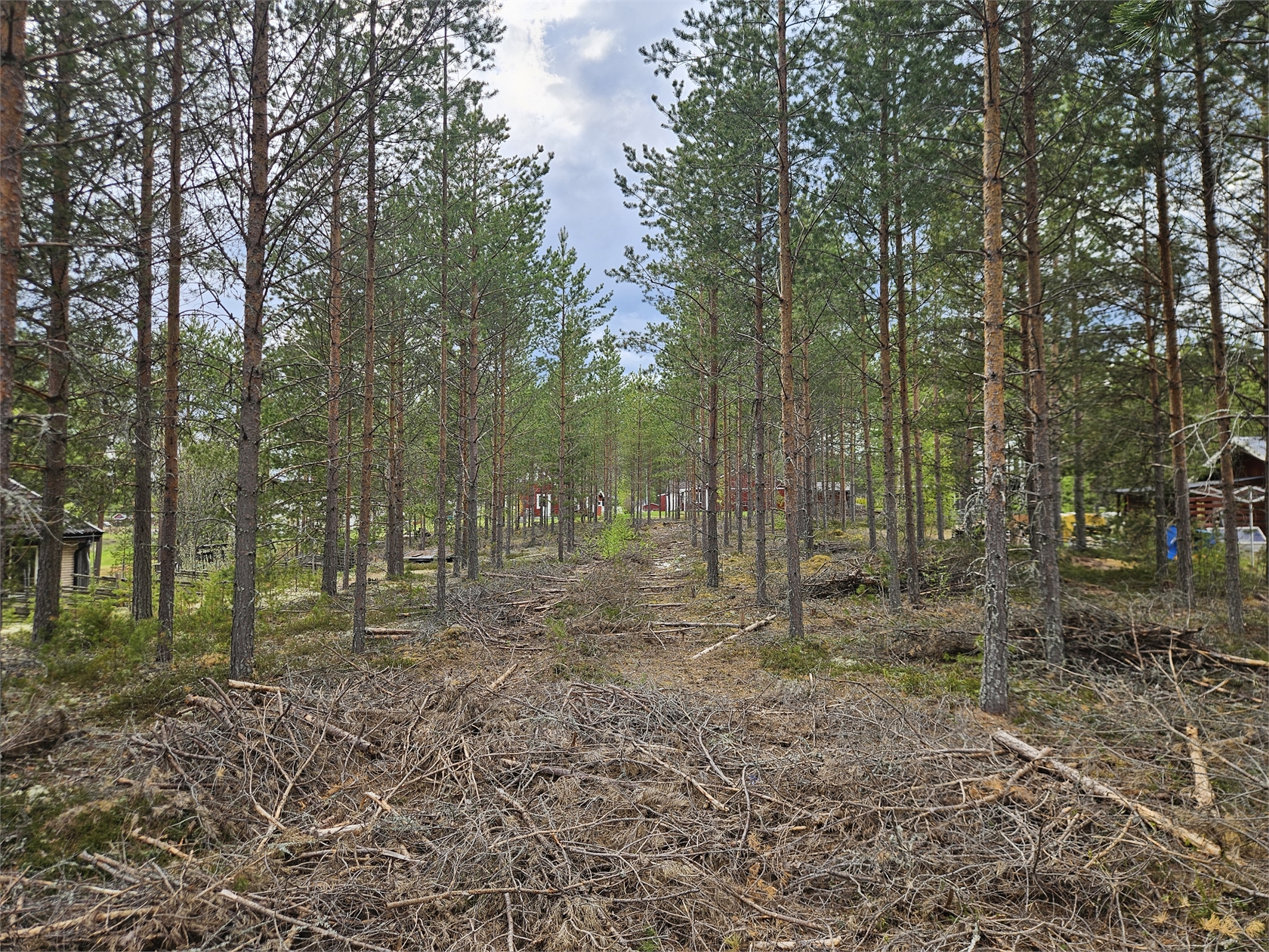 Furudal Tallvägen 2