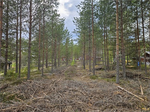 Furudal Tallvägen 2