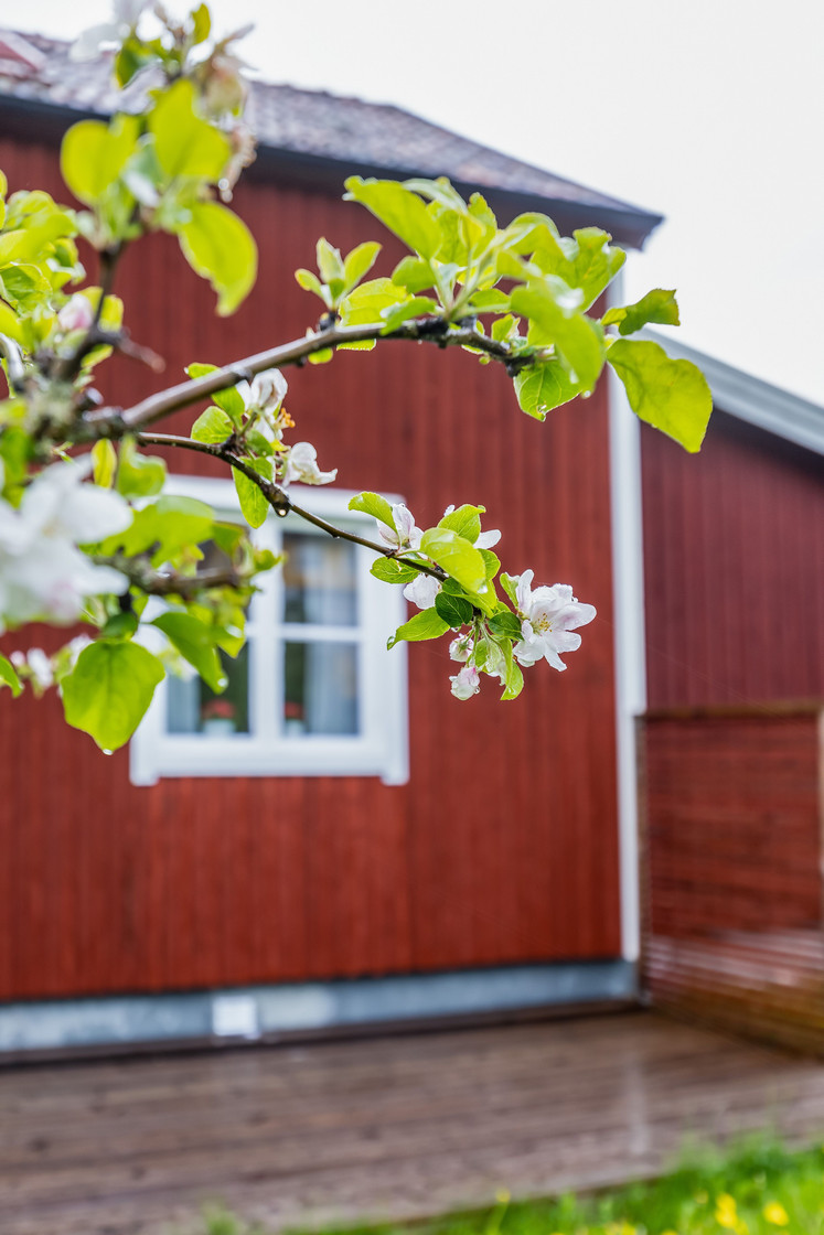 Skyttegatan 28 – bild 23