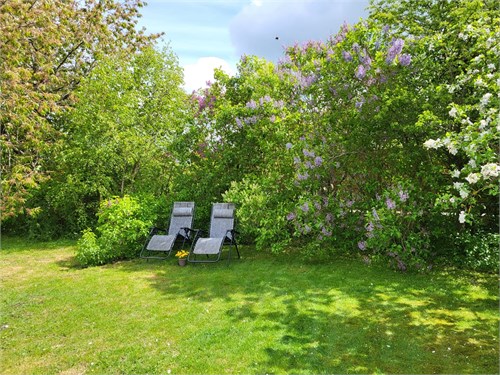 Säljarens bild