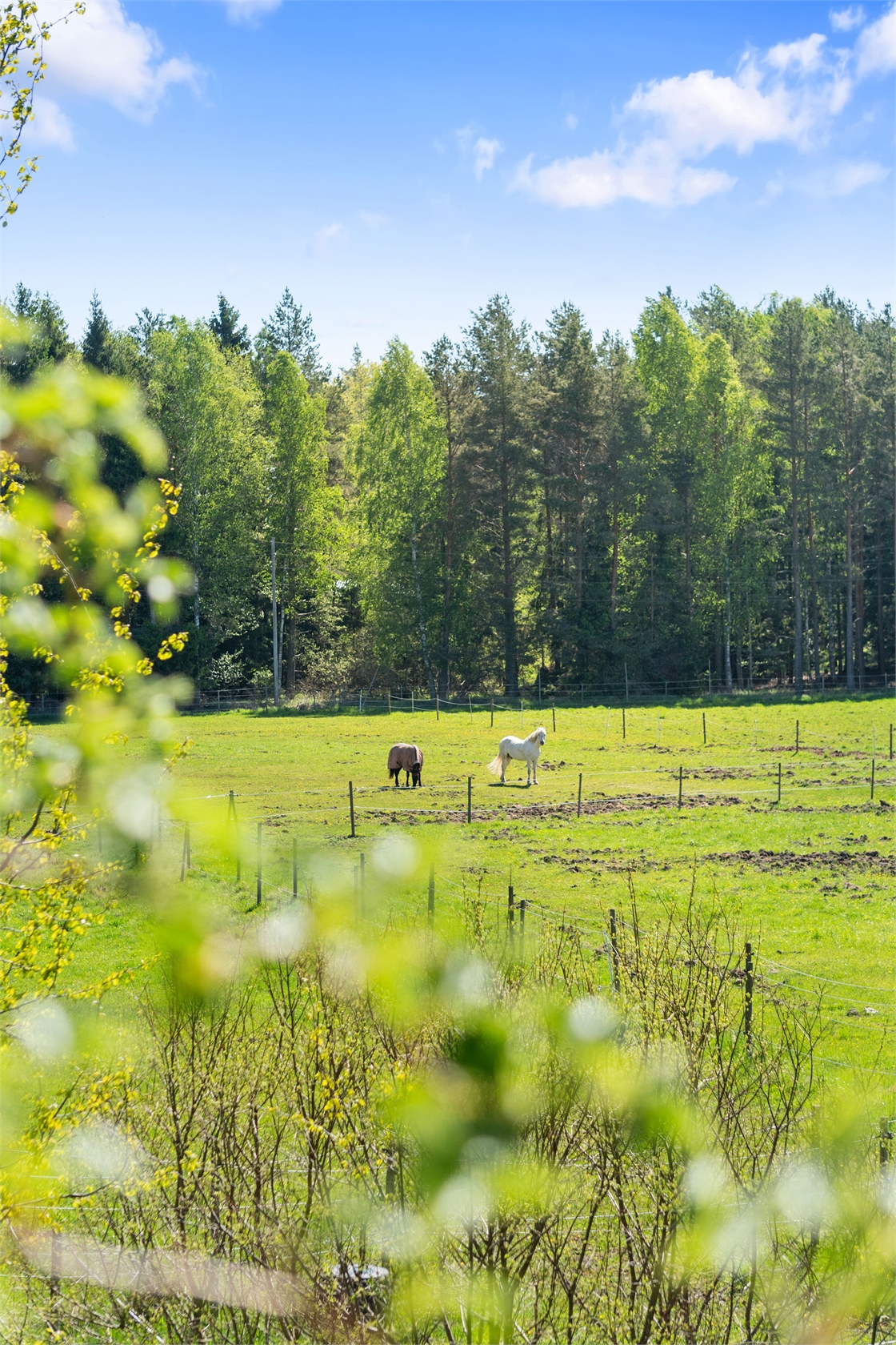 Stångarö 60 – bild 33
