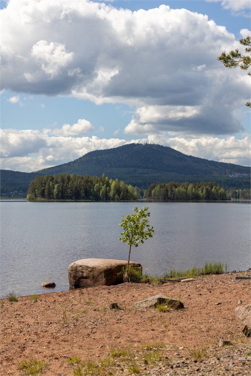 Bild 3