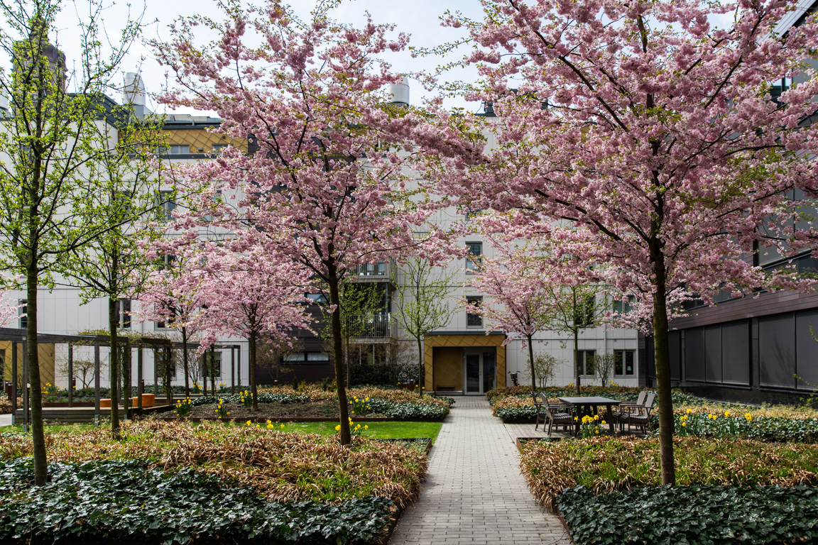 Rådmansgatan 14 – bild 13