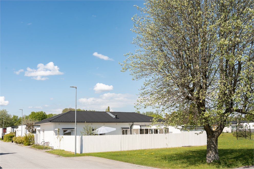TÖRNROSGATAN 7