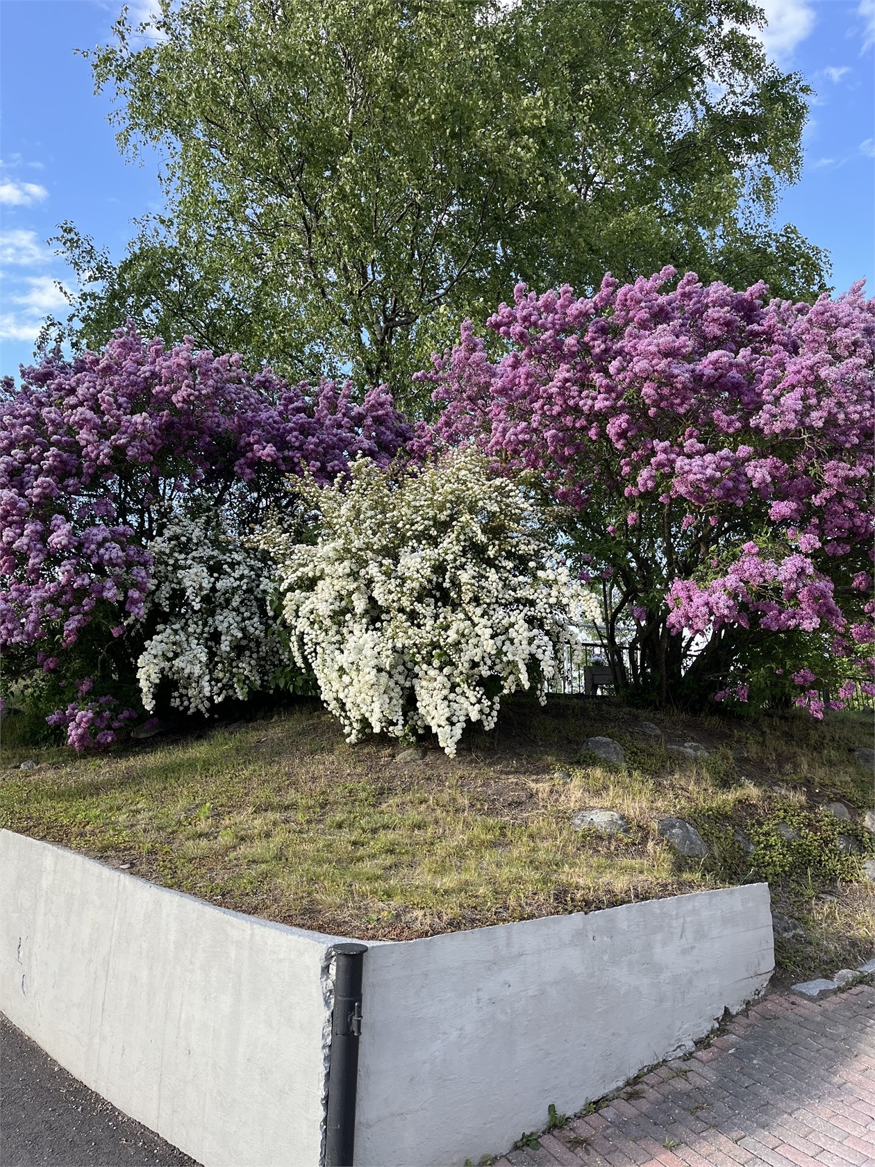 Apelgatan 28B – bild 29