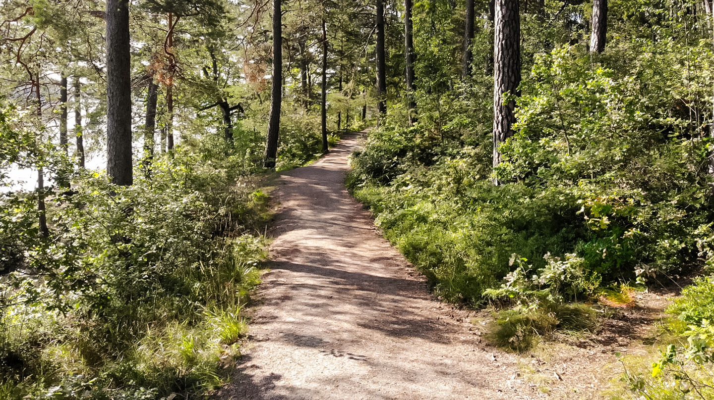 Hammarögatan 11 – bild 16
