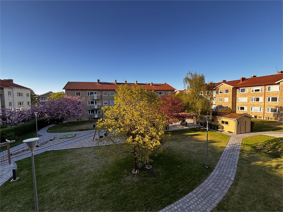 Säljarens bild