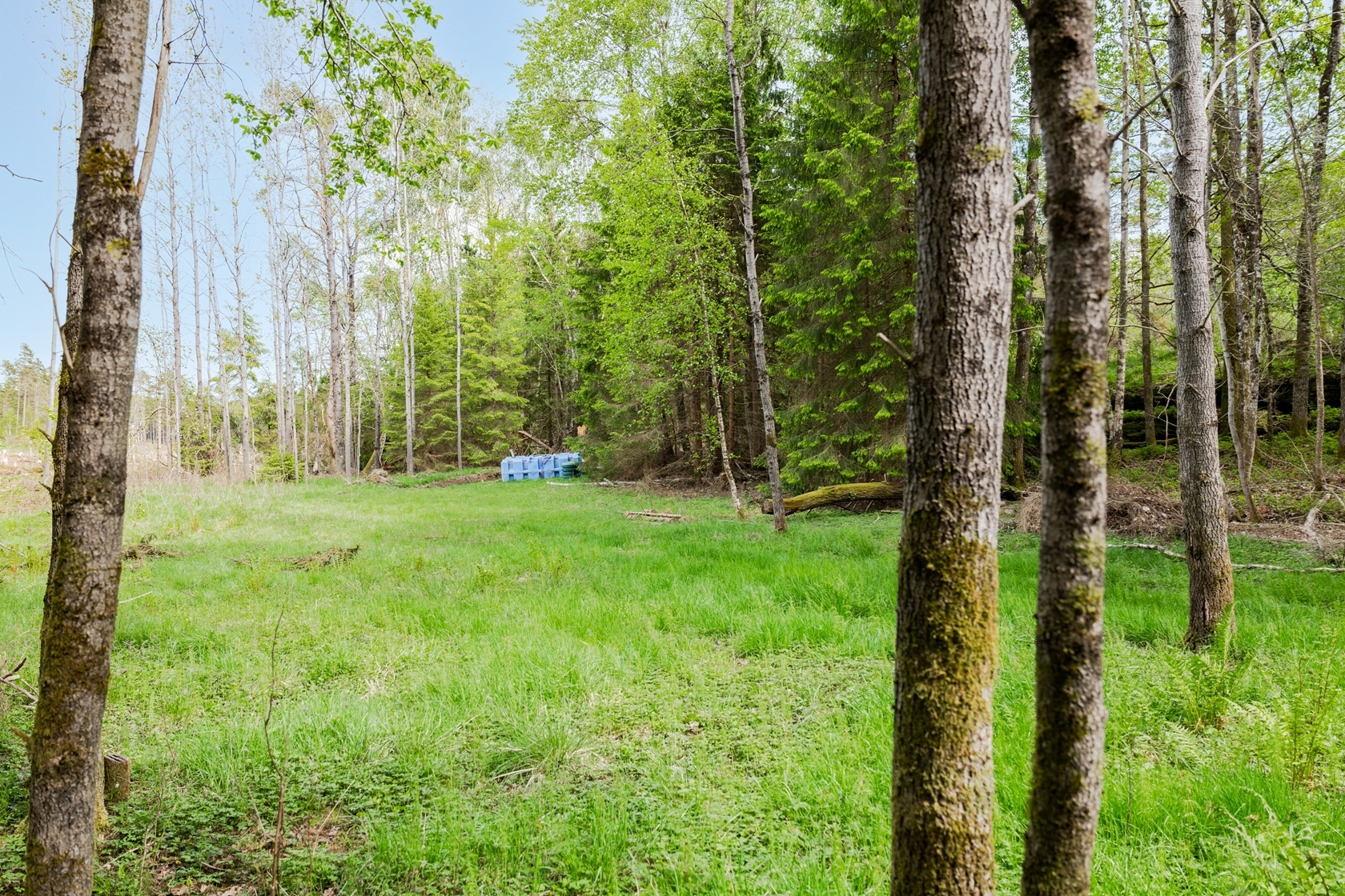 Klevedal 374 – bild 6