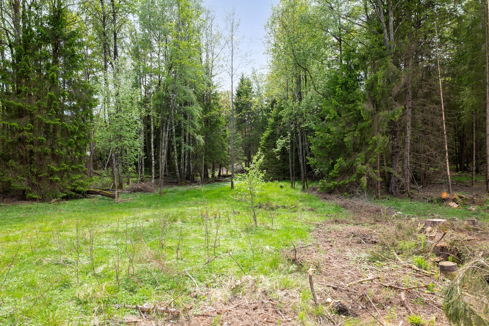 Klevedal 374 – bild 9
