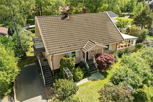 Trädgård