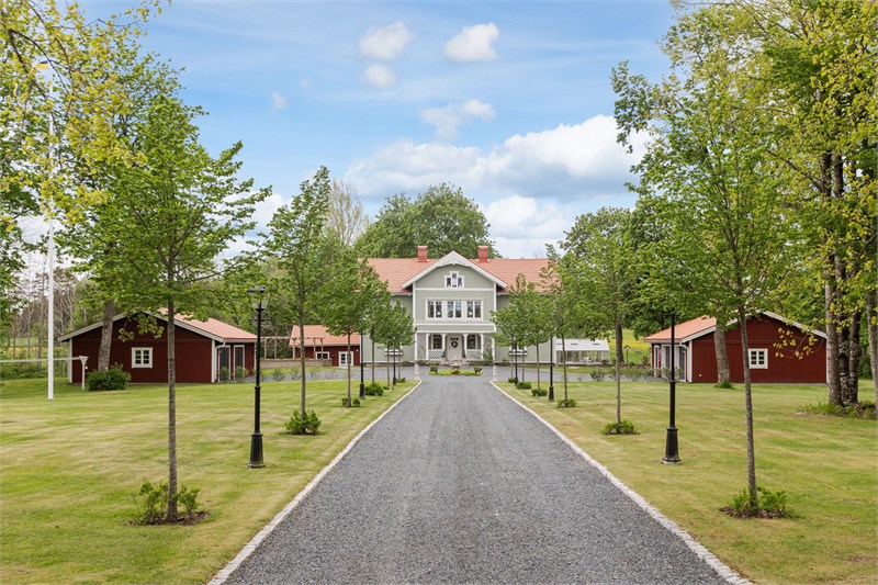Privat allé som leder fram till gården